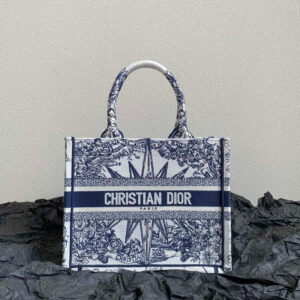 Christian Dior Book Tote Small Bag
