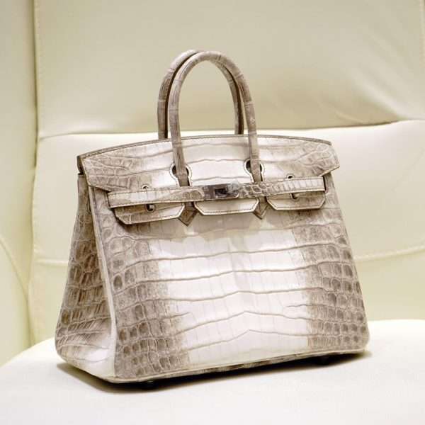 Hermes Birkin 25 Himalaya Crocodile Handbag